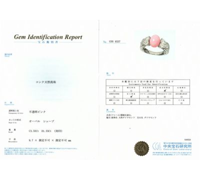 2200000454102-3.jpg